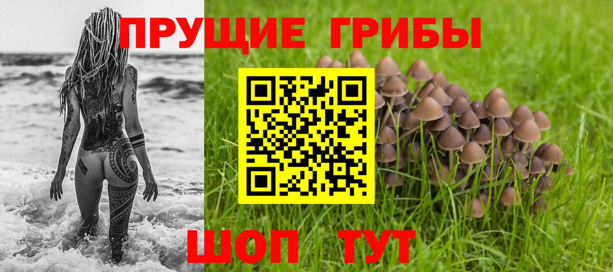 Галлюциногенные грибы мицелий Кропоткин
