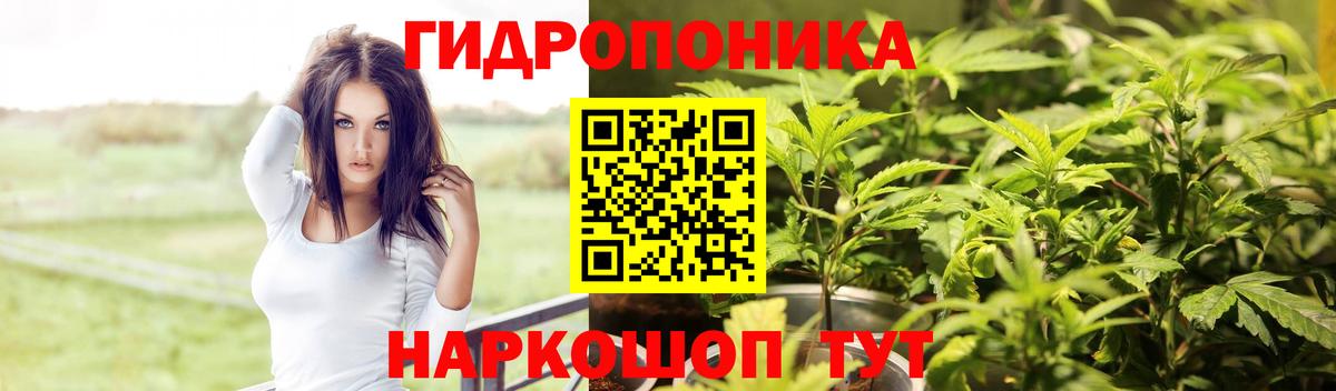 Бошки марихуана сатива Кропоткин